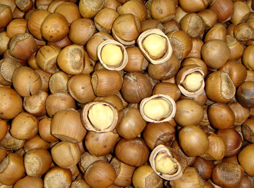 �������Y