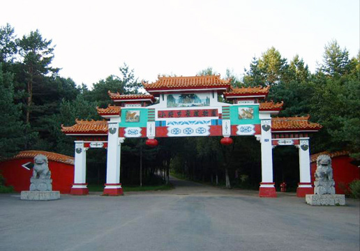 �������Y