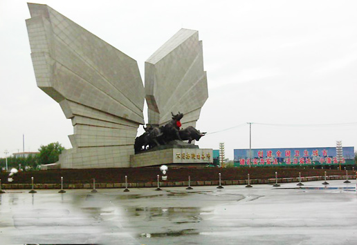 �������Y