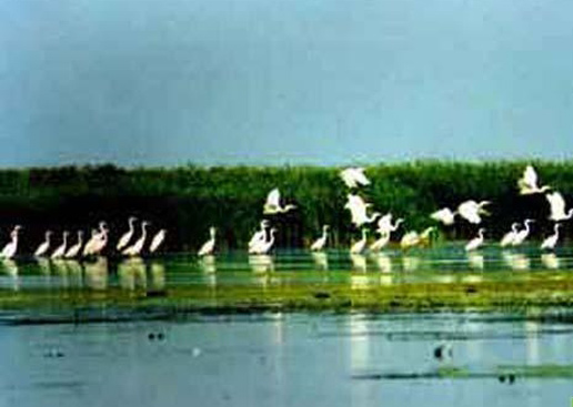 �������Y