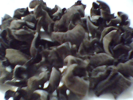 �������Y