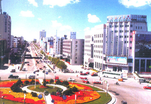 �������Y