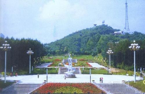 �������Y