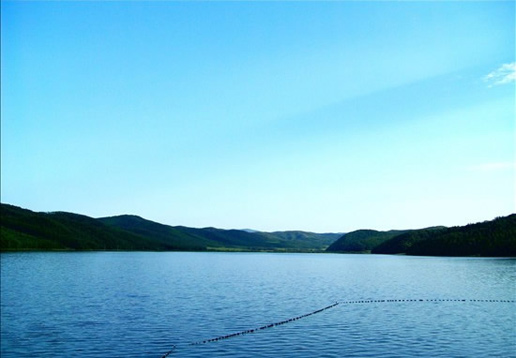 �������Y