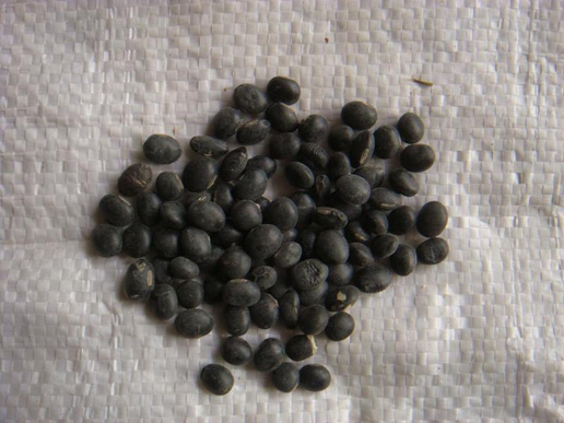 �������Y