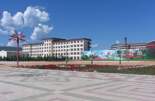 �������Y