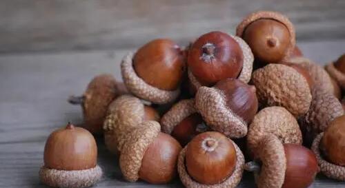 �������Y