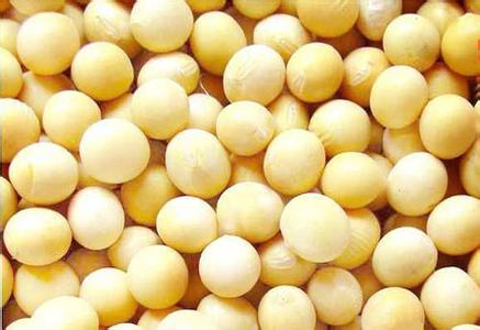 �������Y