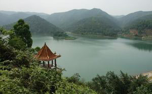 �������Y