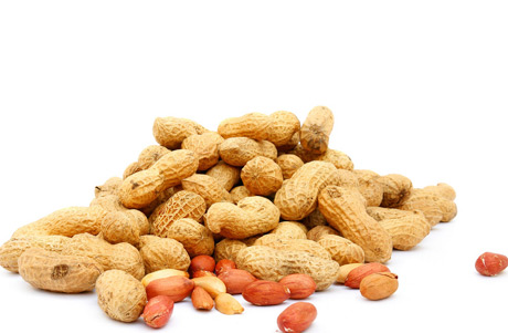 �������Y