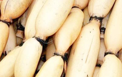 �������Y