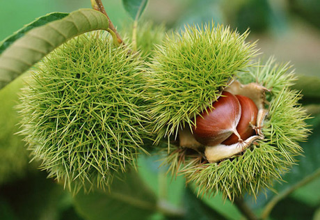 �������Y