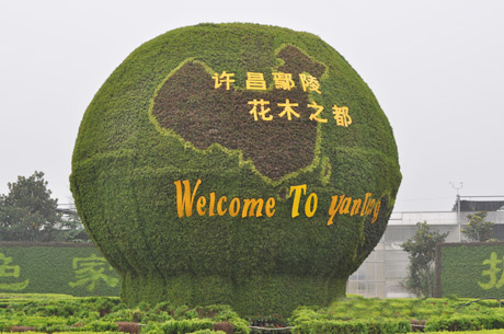 �������Y