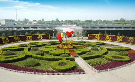 �������Y