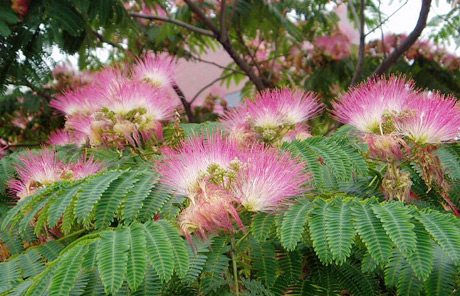 �������Y