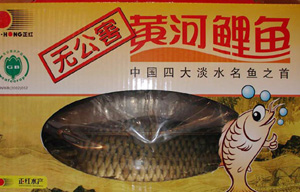 �������Y