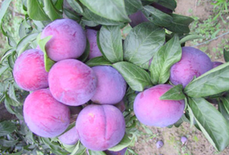 �������Y