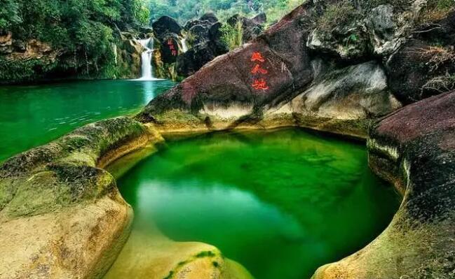 �������Y