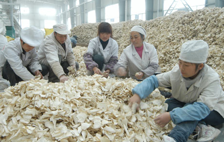 �������Y