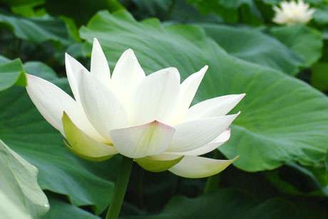 �������Y