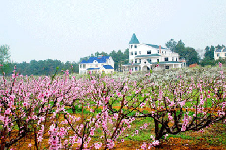 �������Y