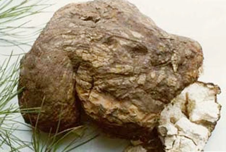 �������Y