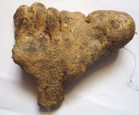 �������Y