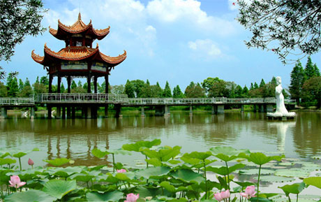 �������Y