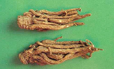 �������Y