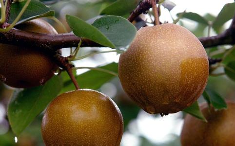 �������Y