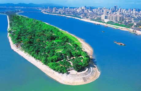 �������Y