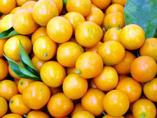 �������Y