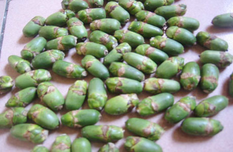 �������Y