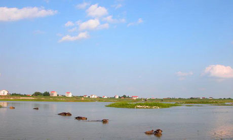 �������Y