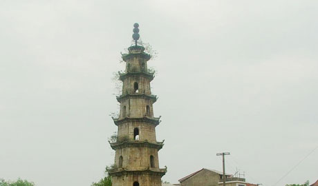 �������Y