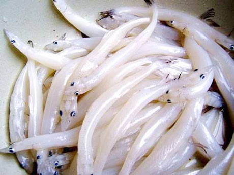 �������Y