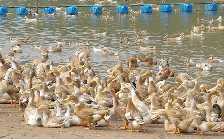 �������Y