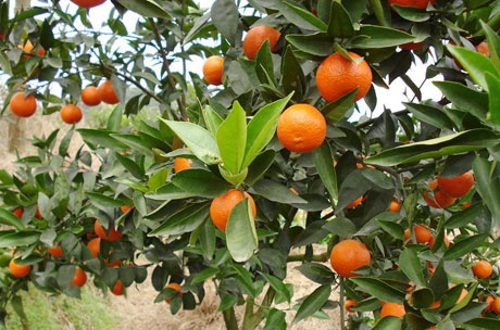 �������Y