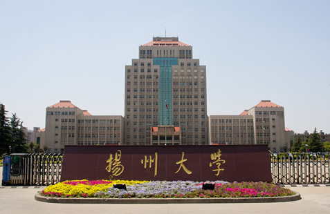 �������Y