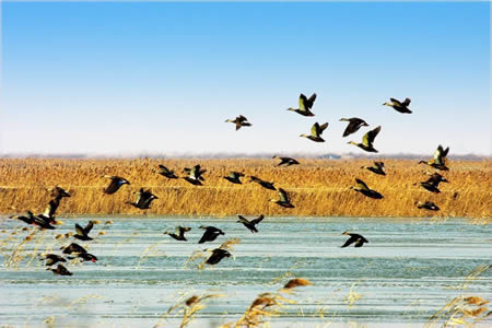 �������Y