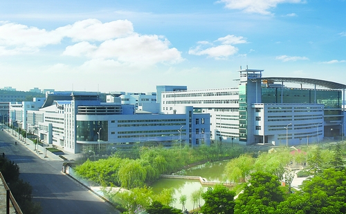 �������Y