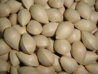 �������Y