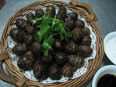 �������Y