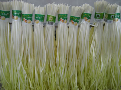 �������Y