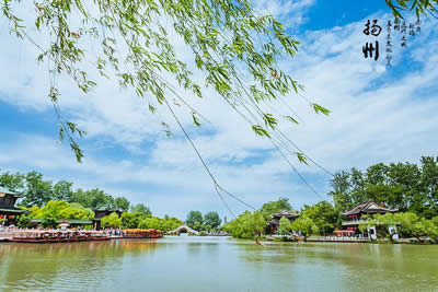 �������Y