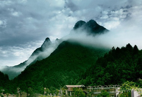 �������Y