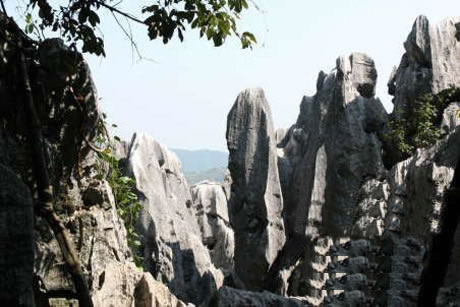 �������Y