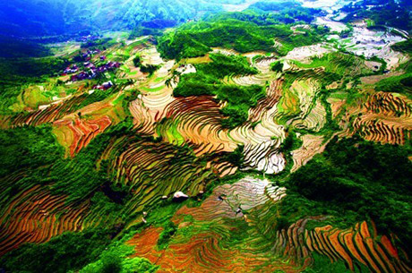 �������Y