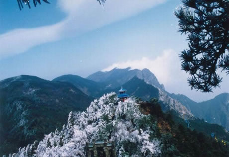 �������Y