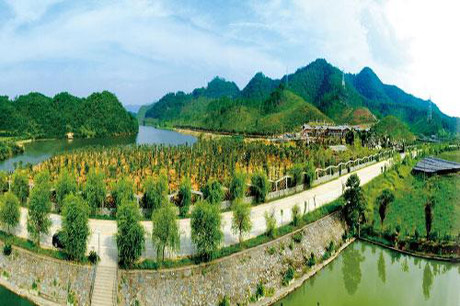 �������Y